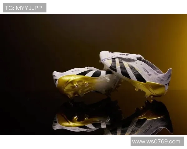 足球明星谁惹不起球员揭秘他们背后的故事与荣耀之路 足球明星谁惹不起球员揭秘他们背后的故事与荣耀之路