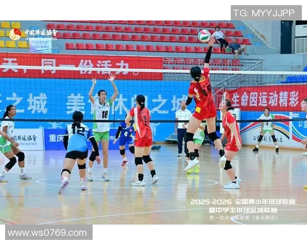 重庆排球队耐力革命引发热议展现新风貌与竞技精神