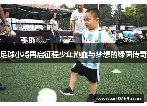 足球小将再启征程少年热血与梦想的绿茵传奇