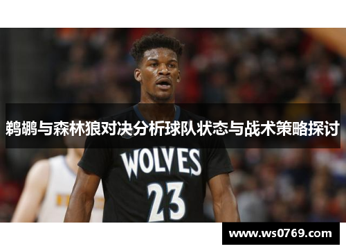 鹈鹕与森林狼对决分析球队状态与战术策略探讨